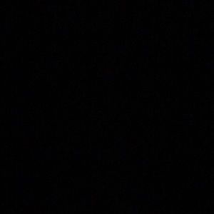 Meet your Posher, Oscar